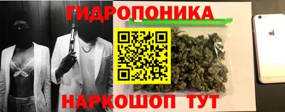 шишки Апшеронск